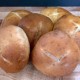 Foccacia Buns